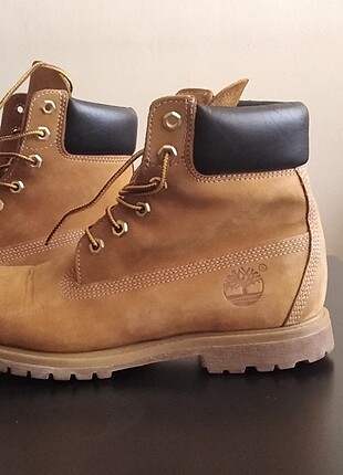 Timberland bot