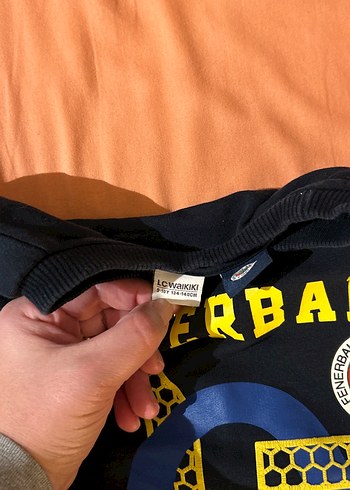 Erkek Çocuk Fenerbahçe Baskılı Sweatshirt - Görsel 3