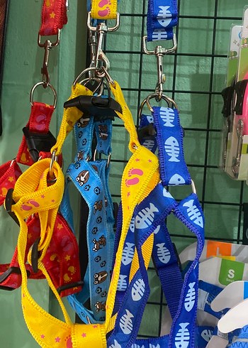  Beden Renkli Köpek Tasması ve Göğüs Tasması Seti