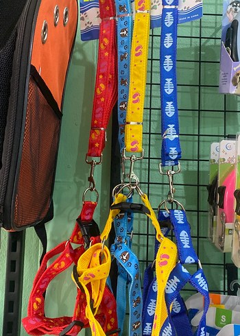 Renkli Köpek Tasması ve Göğüs Tasması Seti