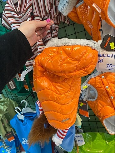 Kedi köpek montu