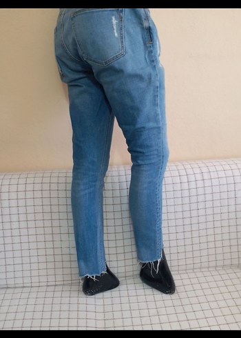 zara l