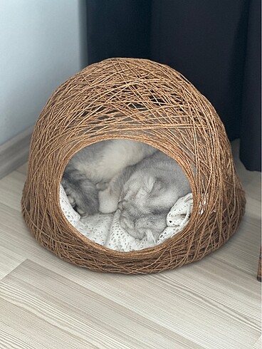 Beden Renk Kedi yatağı