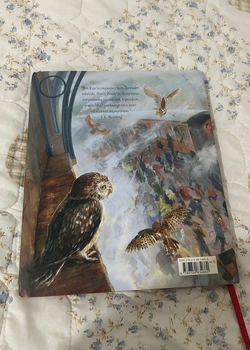 Harry Potter ve Felsefe Taşı - Resimli Hikaye Kitabı - Görsel 2