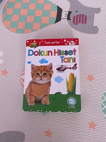 Diğer Circle toys dokun hisset kartları