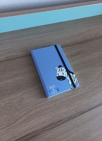 Çizgili Not Defteri Matt Notebook