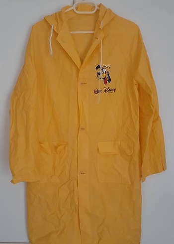 Walt Disney World 36