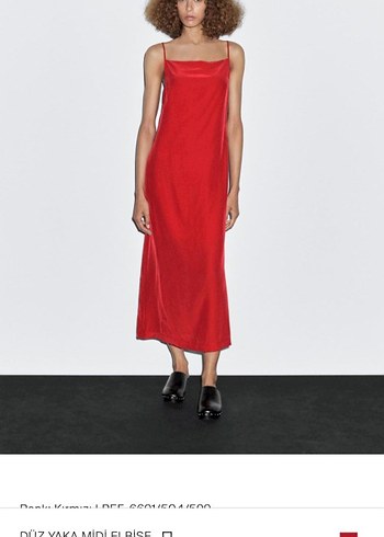 massimo-dutti s