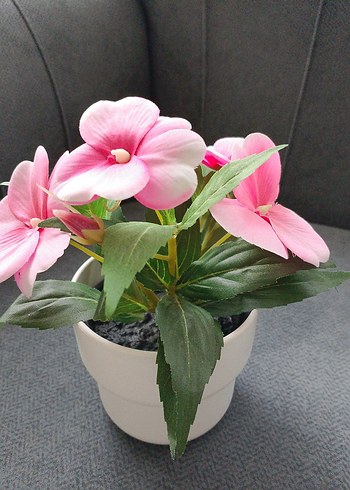 Ikea Pastel Pembe Saksıda Dekoratif Çiçek