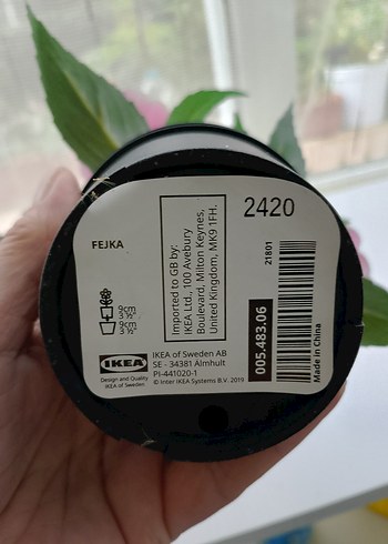  Beden Pastel Pembe Saksıda Dekoratif Çiçek