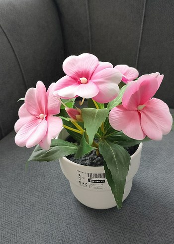 Pastel Pembe Saksıda Dekoratif Çiçek