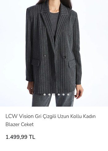 Düğmeli Gri Çizgili Kadın Blazer Ceket - Görsel 19