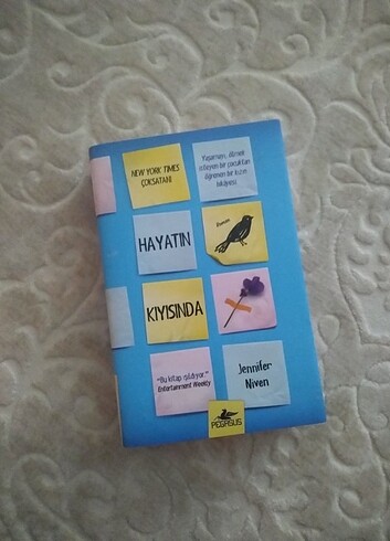 Hayatın Kıyısında 