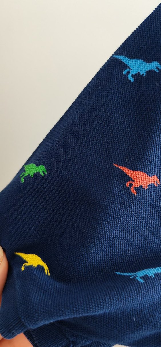 Erkek Çocuk Çok Renkli Dinozor Desenli Polo Tişört - Görsel 3