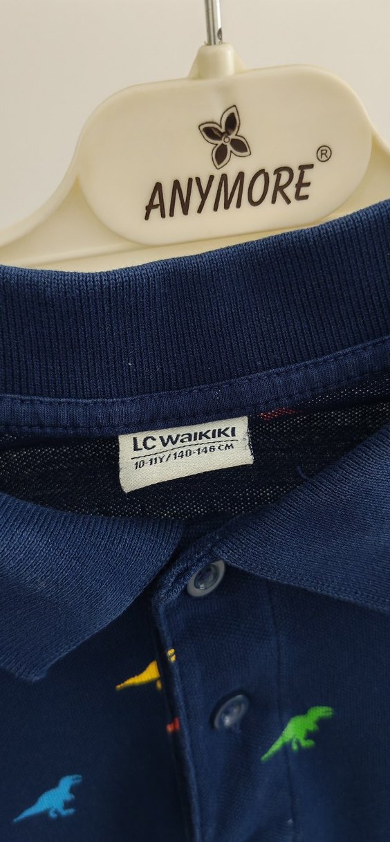 Erkek Çocuk Çok Renkli Dinozor Desenli Polo Tişört - Görsel 4