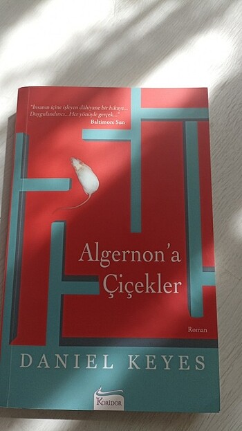 Algernona çiçekler Daniel keys