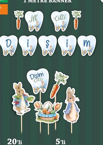 Pastel Yeşil Parti Banner Seti