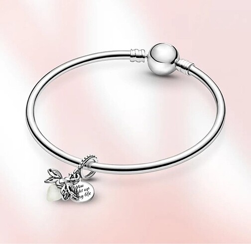  Beden çeşitli Renk Pandora charm