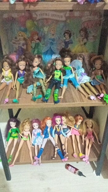 Beden 94 adet Winx bebeği tek ilanda