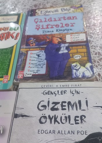 Beden Çocuk Kitapları Seti: Gizem, Şifreler, Hayaller