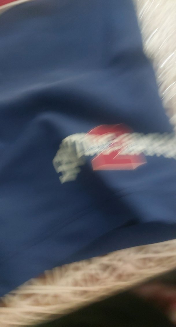 Erkek Çocuk Baskılı Kısa Kollu Mavi Mayo - Görsel 2