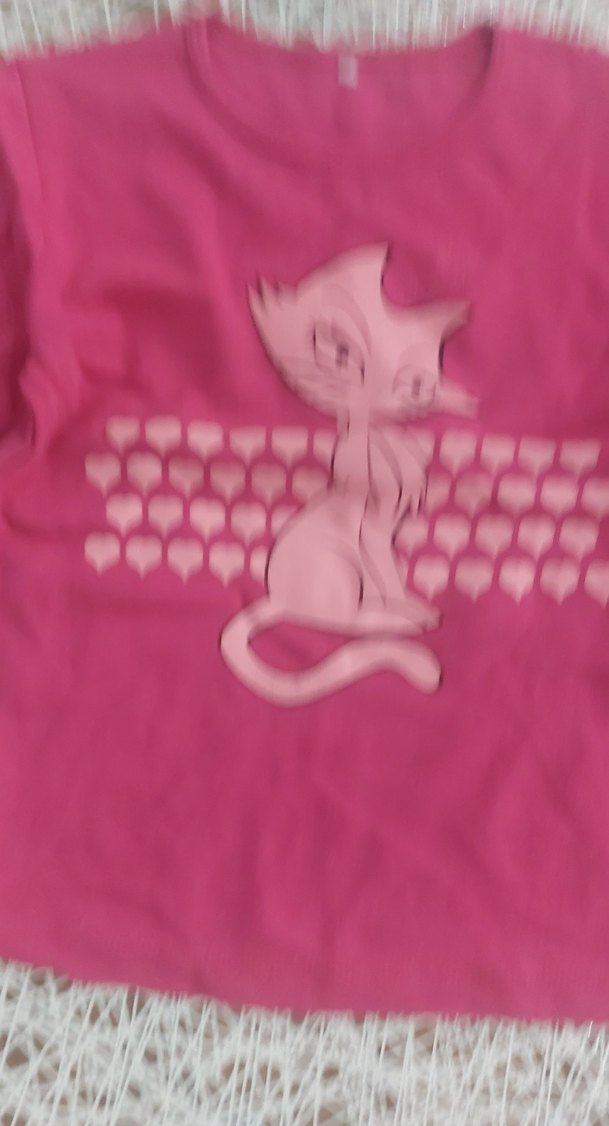 Kız Çocuk Pembe Baskılı Uzun Kollu Tişört - Görsel 2