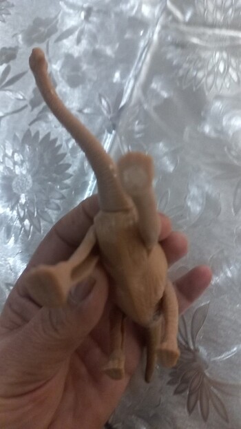 Eklemeli dinozor  - Görsel 5