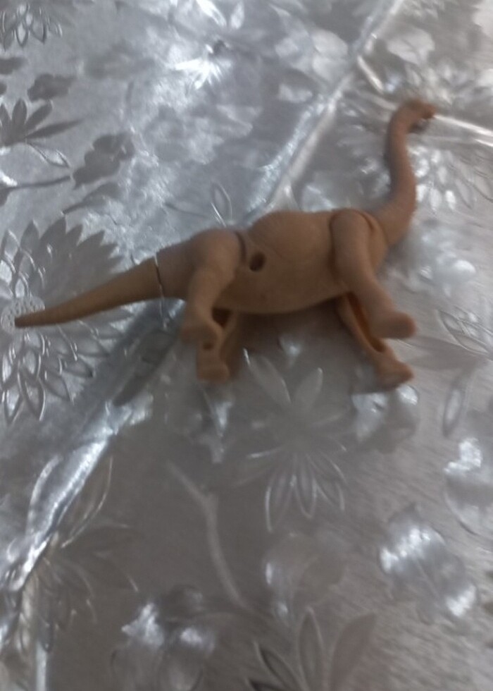 Eklemeli dinozor  - Görsel 3