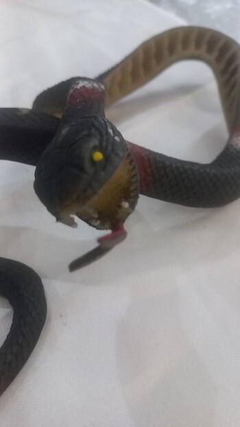 Can oyuncak Koray yilani - Görsel 2