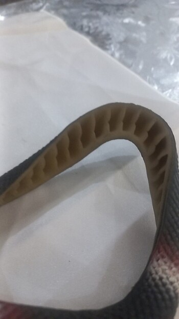 Can oyuncak Koray yilani - Görsel 3