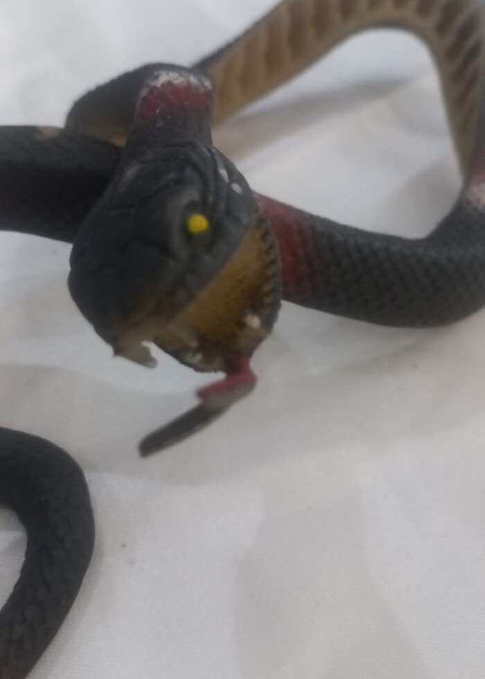 Can oyuncak Koray yilani - Görsel 2