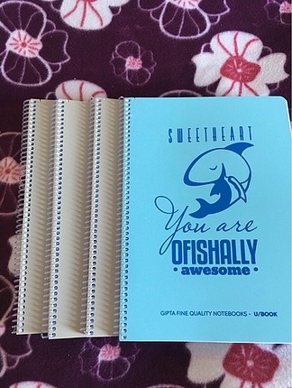 Kareli defter