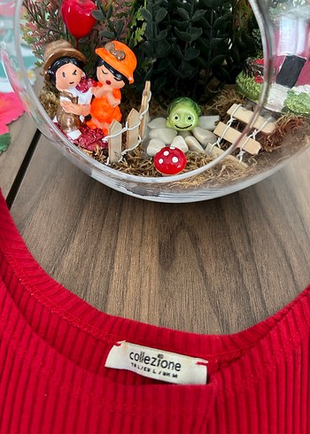 Kırmızı Yüksek Yakalı Kadın Triko Elbise - Görsel 9