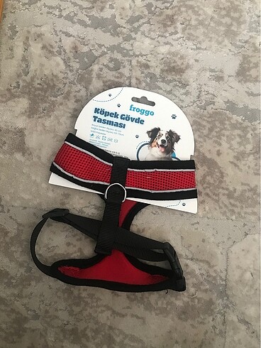 Köpek tasması