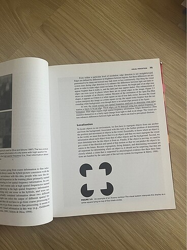 Cognıtıve psychology - Görsel 2