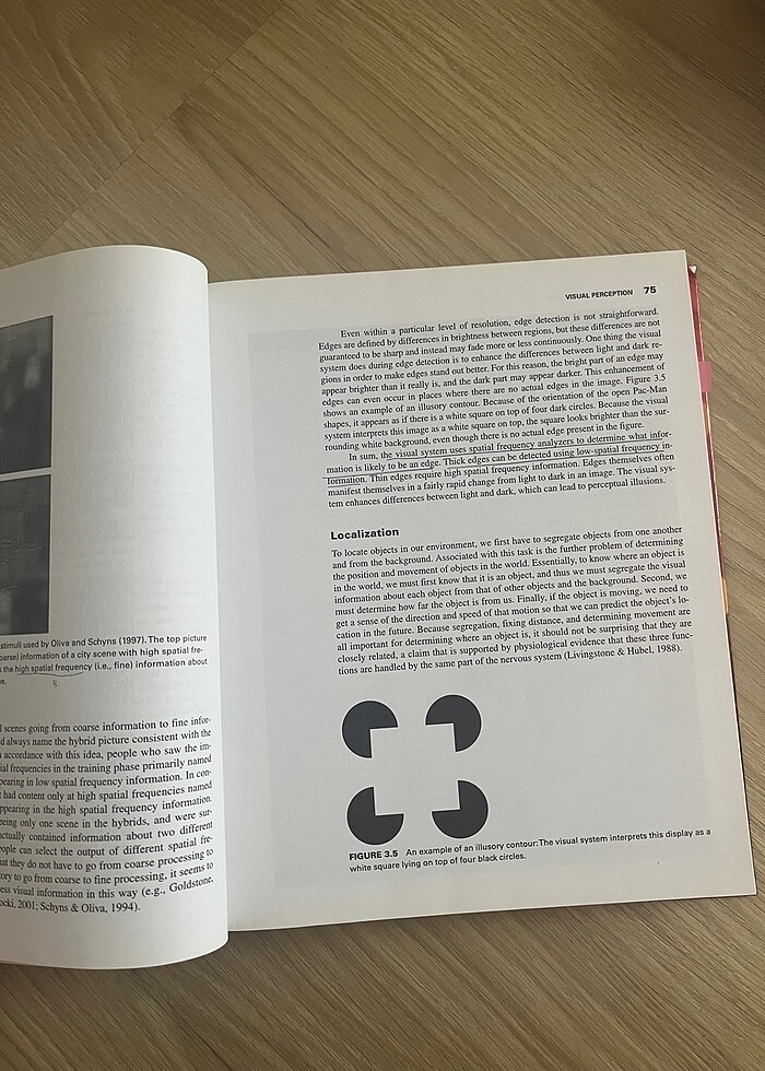 Cognıtıve psychology - Görsel 2