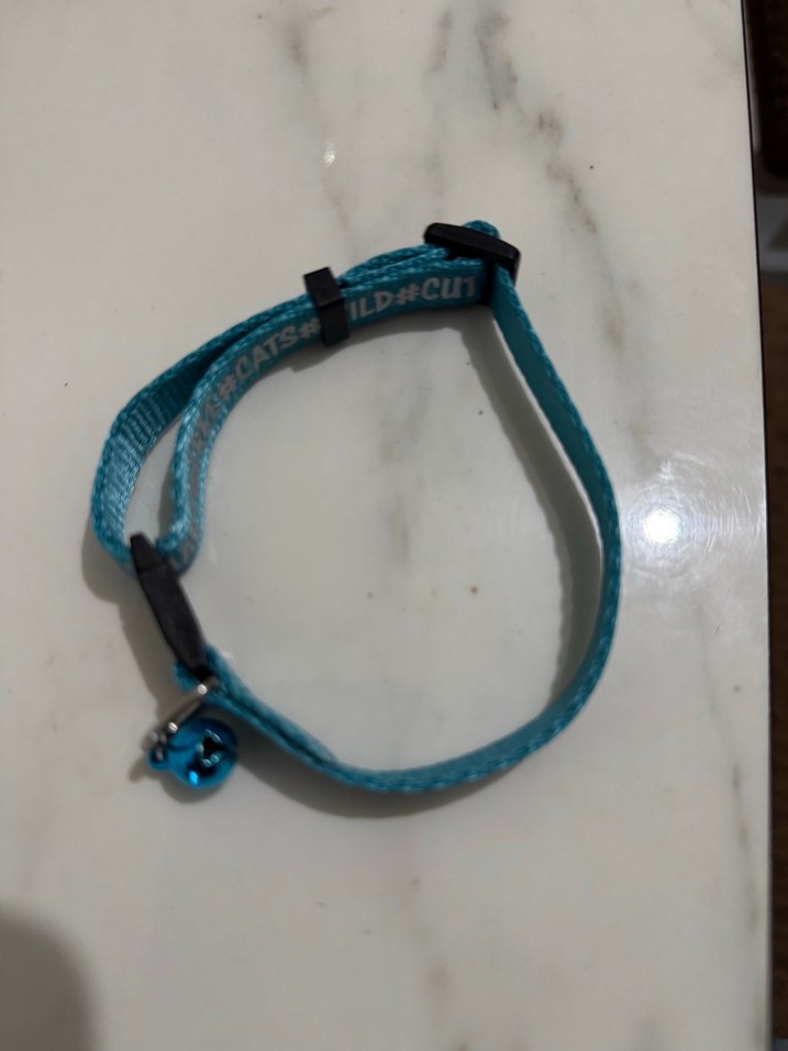 Trixie Ayarlanabilir Turkuaz Kedi Zilli Tasma - Görsel 2