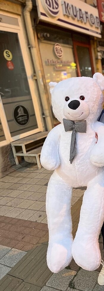 Peluş ayı