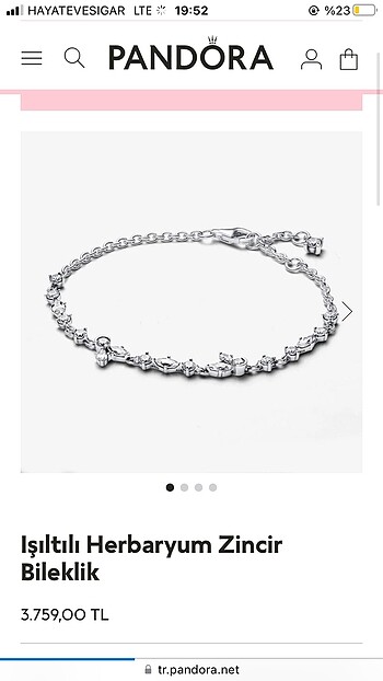Pandora ışıltılı bileklik herbaryum gümüş