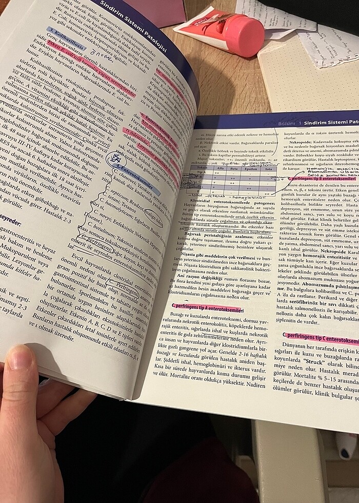 Veteriner patoloji 1. Cilt - Görsel 2