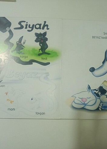 Beden Renk Renkler eğitici kitap