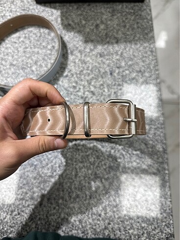 Köpek aksesuarları