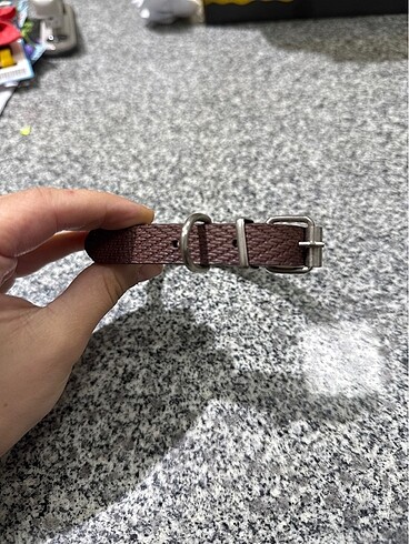 Küçük ırk köpek aksesuar