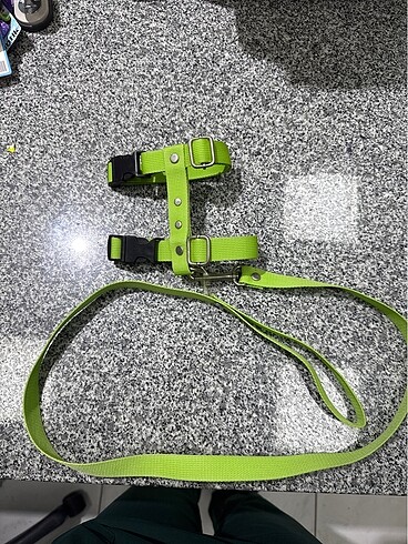  Köpek aksesuarları