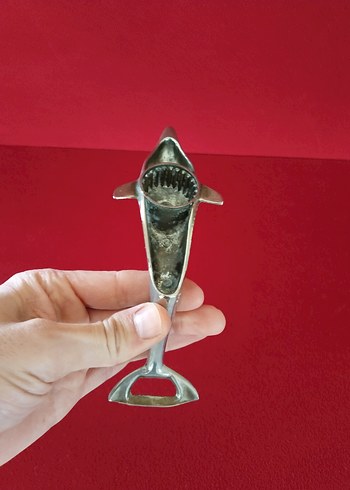 Pirinç Yunus Açacak - Görsel 3