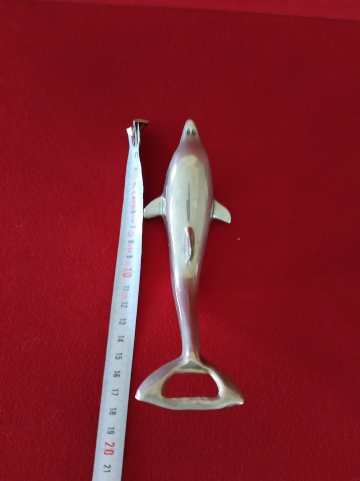 Pirinç Yunus Açacak - Görsel 2