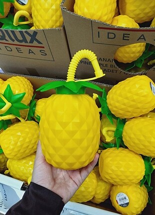 Ananas bardak 