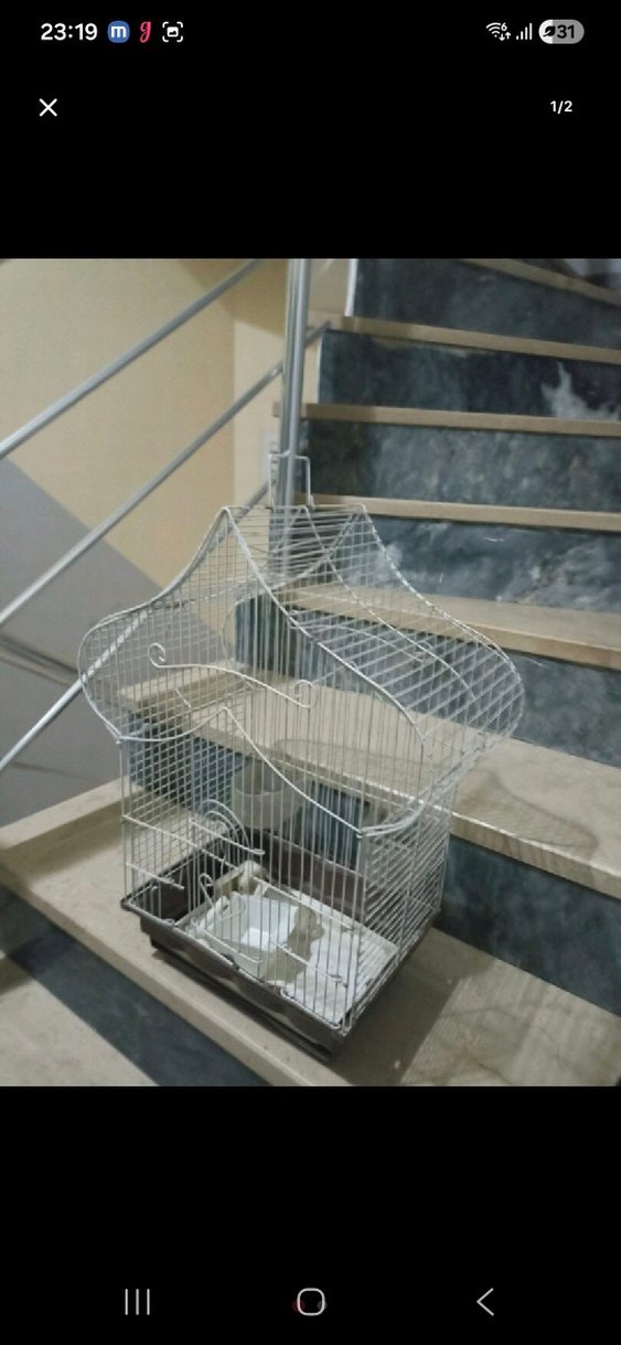 Gri Metal Kuş Kafesi - Görsel 2