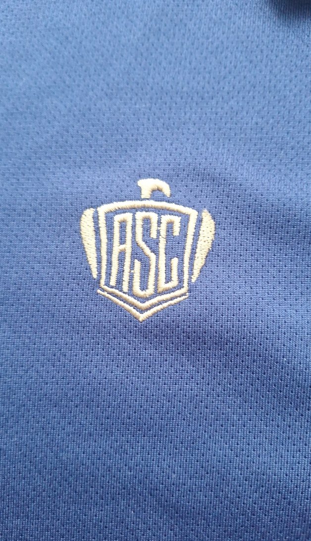 Al Ahly Düğmeli Mavi Erkek Kısa Kollu Forma - Görsel 3