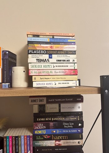 Çeşitli Roman Kitap - Görsel 4